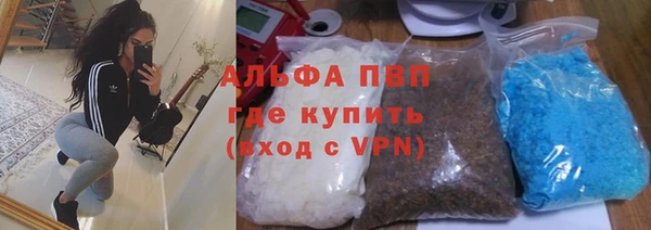 винт Липки