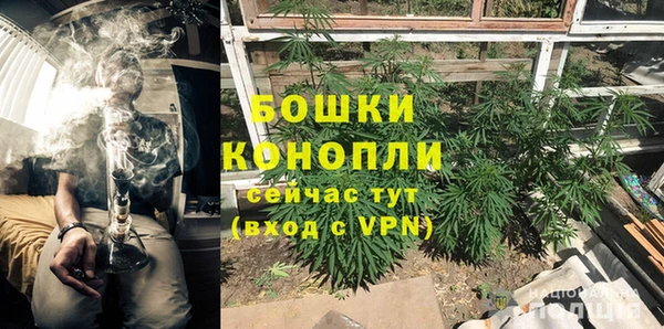 винт Липки