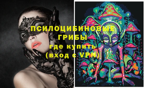 винт Липки